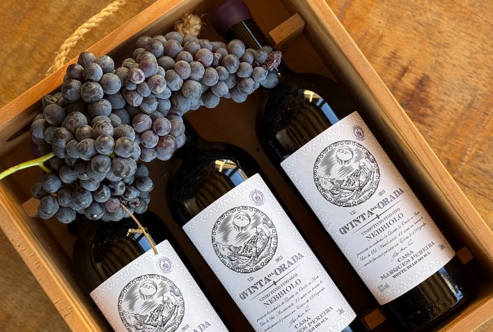 Uva Nebbiolo se destaca na Serra Gaúcha e eleva qualidade dos vinhos brasileiros