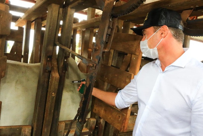Vacinação bovina individual aumenta eficiência, reduz perdas e melhora bem-estar animal