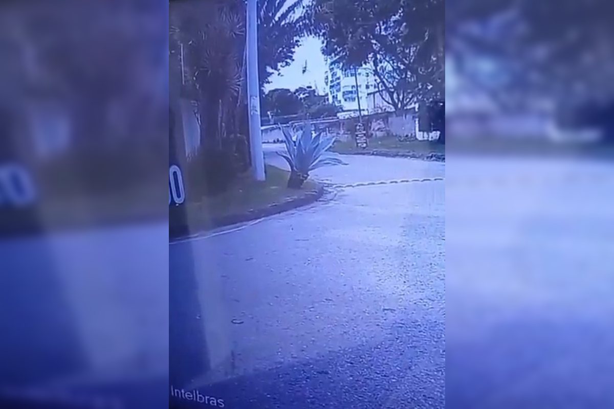 Vídeo revela momento da queda de helicóptero que deixou seis mortos no Rio