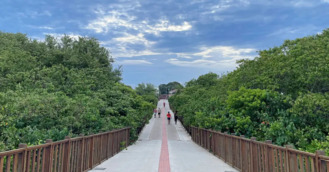 Vila Velha (ES): como é a ciclovia na reserva de Jacarenema