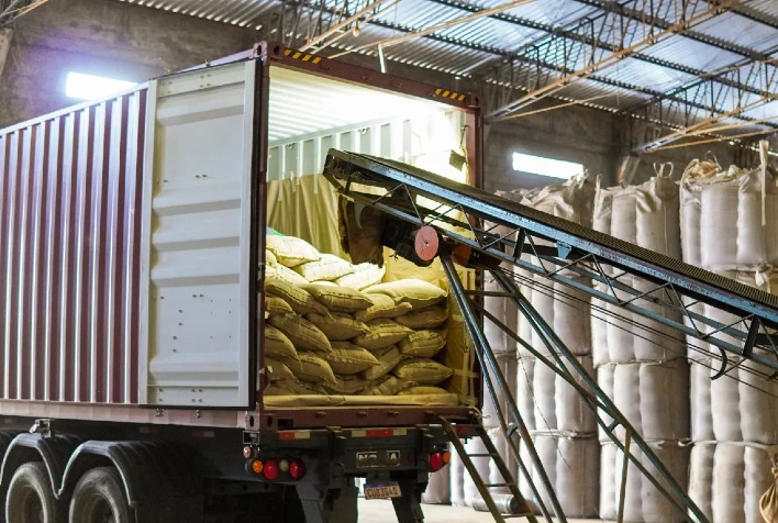 Exportações de café do Brasil caem 15,7% na safra 2025/26, mas junho registra recuperação