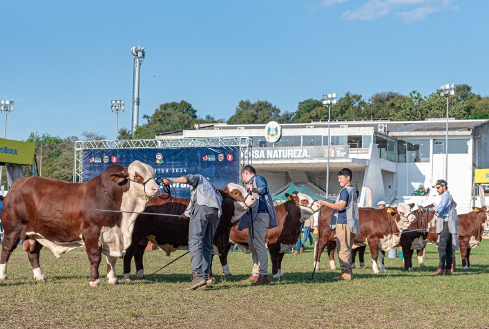 ABHB abre inscrições para a Expointer 2026 e fortalece raças Hereford e Braford