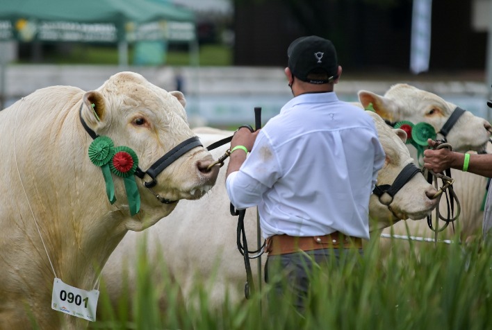 ANC abre inscrições para a 49ª Expointer e prevê retorno de raças na pecuária
