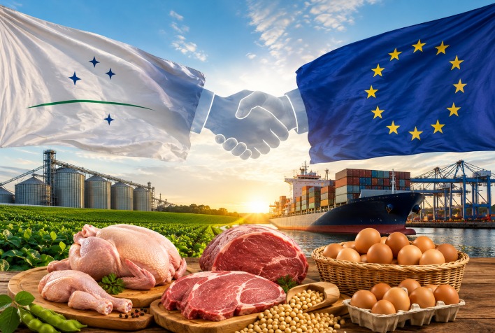Acordo Mercosul-União Europeia pode aumentar exportações de carnes e ovos do Brasil