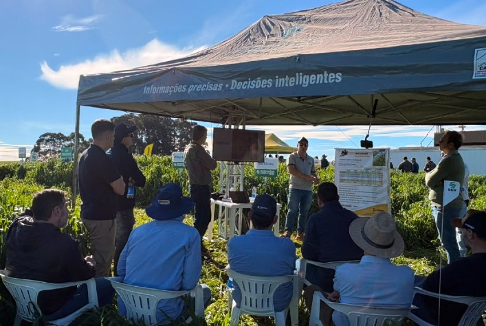 Agricultura regenerativa no Sul do Brasil aumenta nitrogênio e produtividade do solo