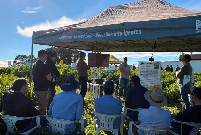 Agricultura regenerativa no Sul do Brasil aumenta nitrogênio e produtividade do solo