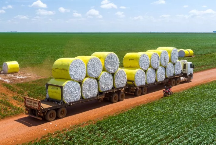 Algodão no Brasil tem queda de preços com lentidão nas vendas e cautela dos produtores