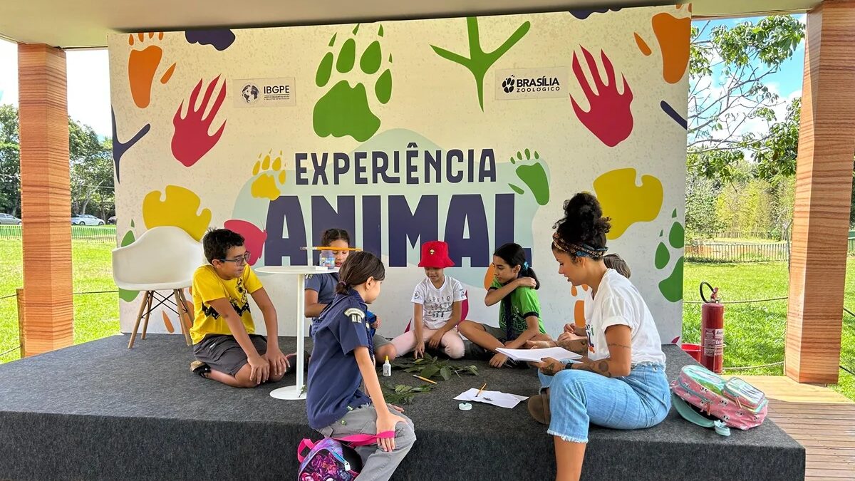 Aproveite os últimos dias de férias com programação especial para crianças no DF