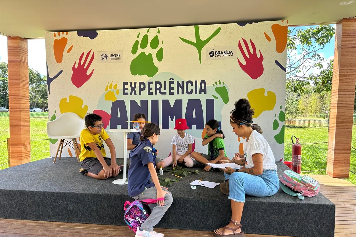 Aproveite os últimos dias de férias com programação especial para crianças no DF