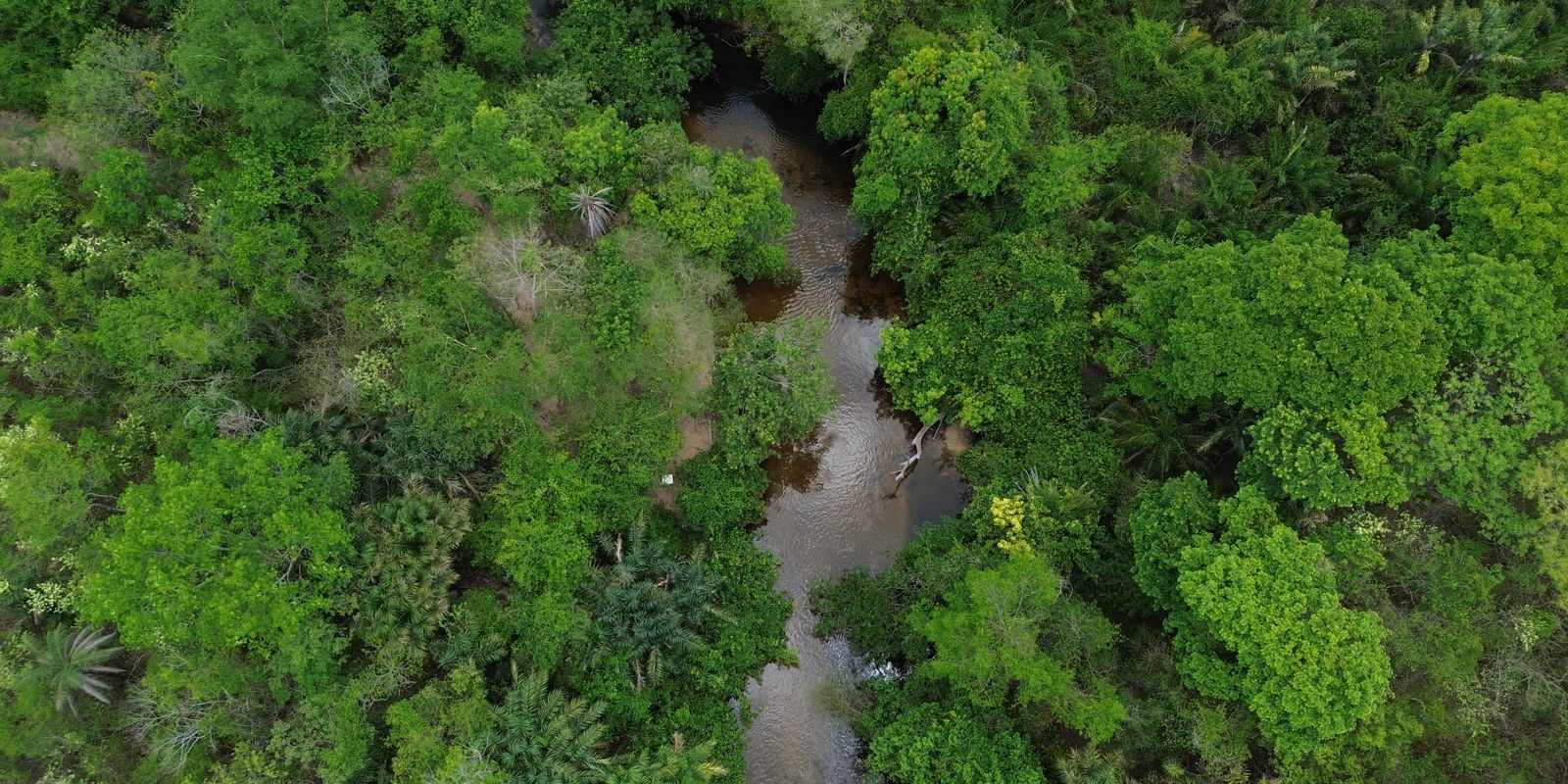 Área queimada no Brasil cai 31% em 2025, menor marca em 41 anos