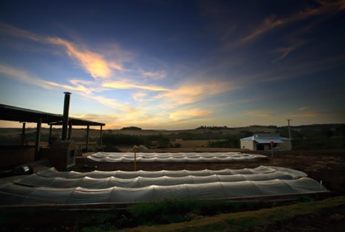 Bahia se destaca como novo polo de biometano no Nordeste com 2,5 milhões de m³/dia