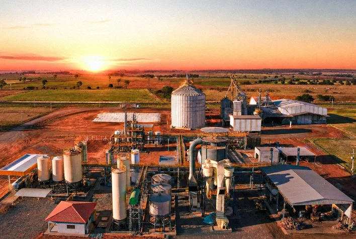 Better Beef transforma 40 mil toneladas de resíduos em nutrição animal e avança na sustentabilidade da carne premium