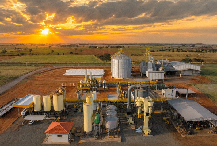 Better Group investe R$ 20 milhões em projeto que transforma batata-doce em biocombustíveis e ração animal
