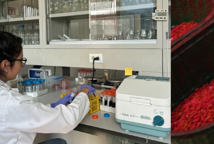Bioinsumos crescem na América Latina e podem reduzir custos e aumentar produtividade agrícola, aponta FAO