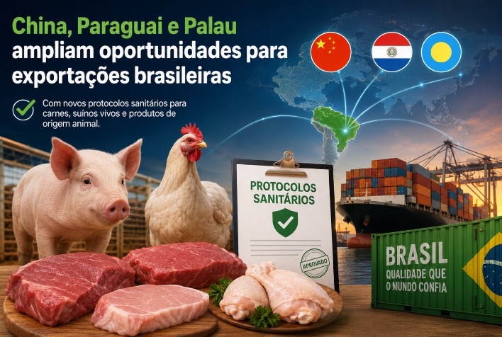 Brasil abre novos mercados na Ásia e América do Sul para produtos agropecuários