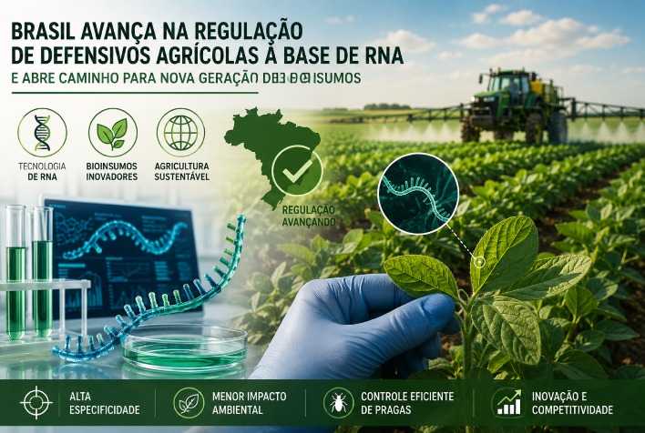 Brasil avança na regulação de defensivos agrícolas à base de RNA e inova no agro