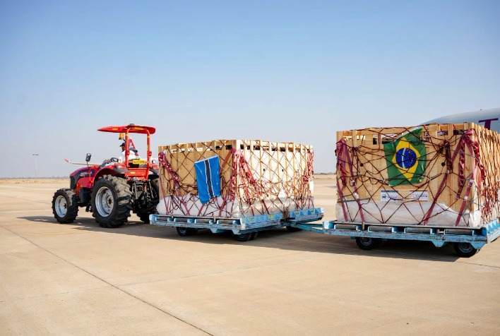 Brasil exporta primeiro lote de gado Girolando para Botswana e fortalece genética leiteira na África
