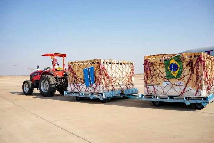 Brasil exporta primeiro lote de gado Girolando para Botswana e fortalece genética leiteira na África