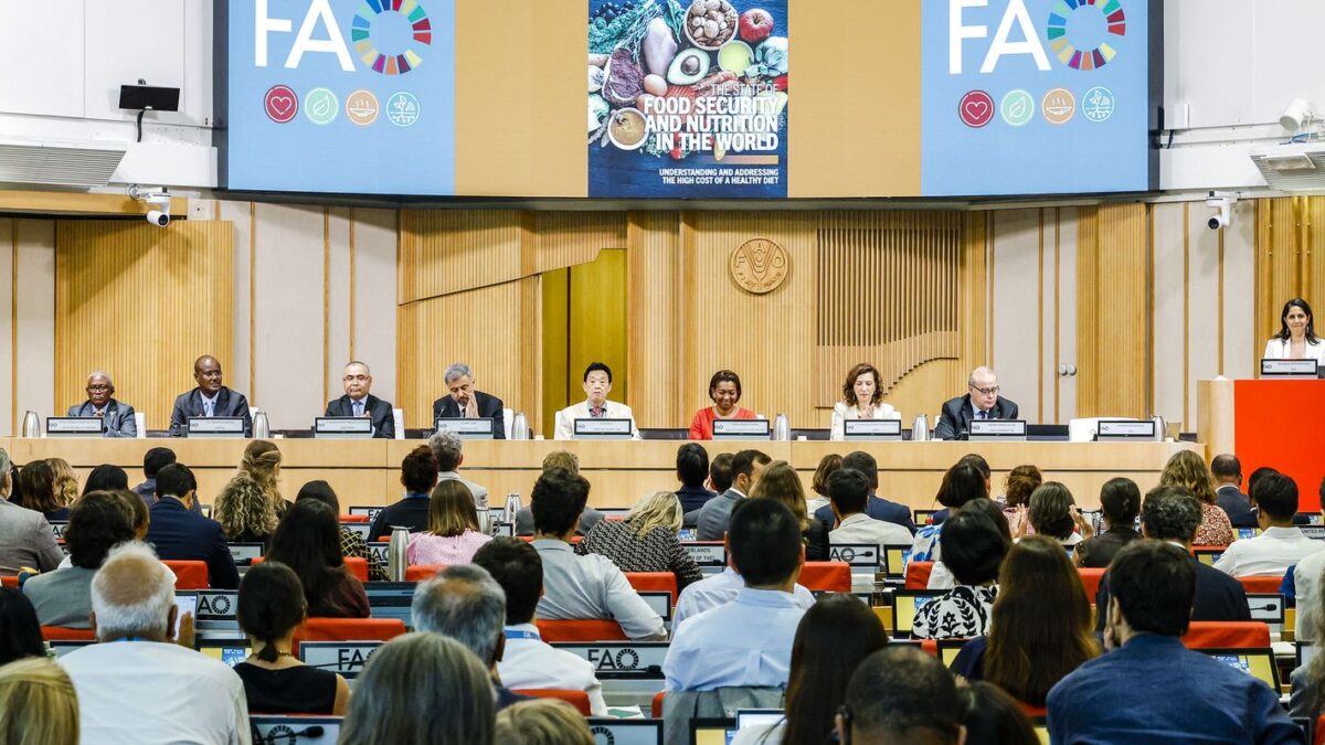 Brasil se mantém fora do Mapa da Fome, revela relatório da ONU sobre segurança alimentar