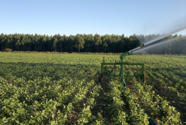 CMN amplia prazo para adequação ambiental e garante crédito rural a produtores