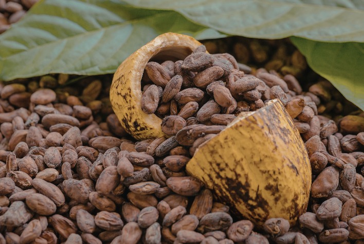 Cacau cai quase 5% na ICE com incertezas sobre demanda global por chocolate