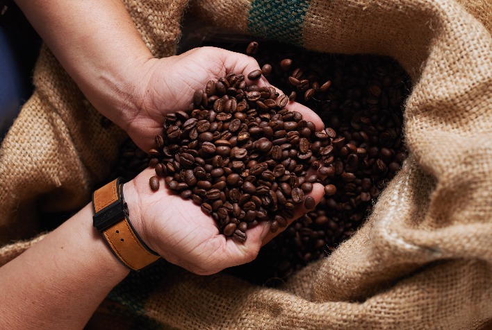Café se recupera após tombo, mas safra recorde do USDA pressiona preços