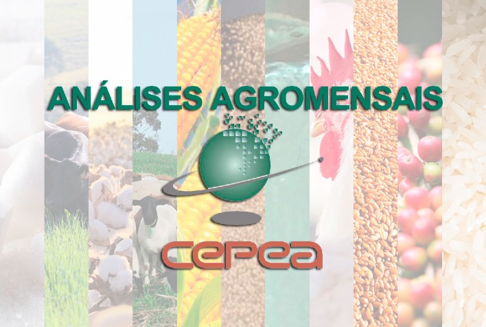 Cepea analisa junho: café, milho, açúcar, soja e trigo em destaque no agro