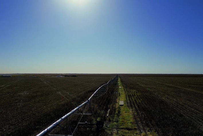 Clima instável impulsiona investimentos em irrigação no Oeste da Bahia