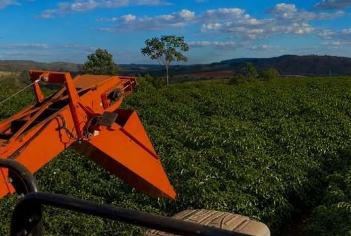 Colheita de café arábica no Cerrado Mineiro chega a 60% da safra 2026/27