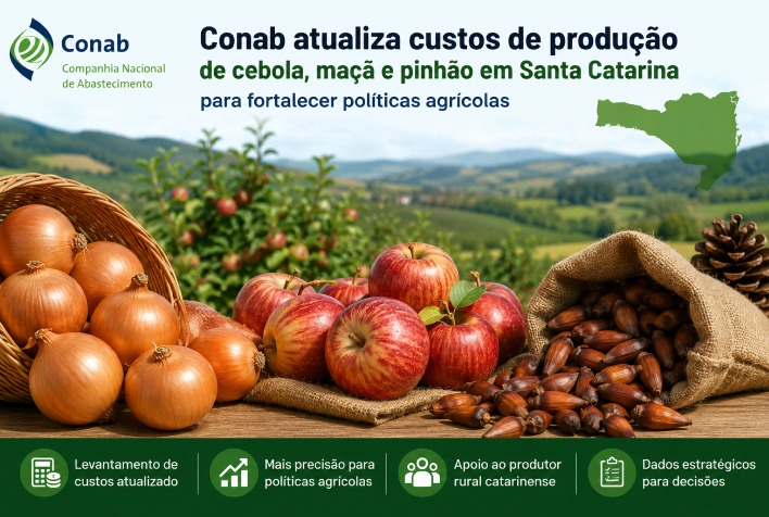 Conab atualiza custos de cebola, maçã e pinhão em Santa Catarina para fortalecer políticas agrícolas