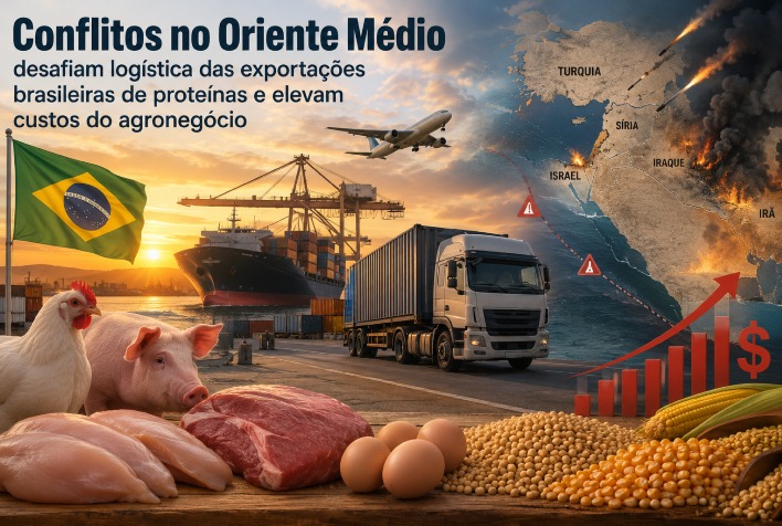 Conflitos no Oriente Médio elevam custos e desafiam exportações de proteínas do Brasil