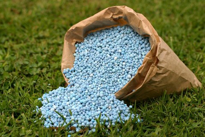 Dependência de fertilizantes importados pressiona custos e riscos no agronegócio brasileiro