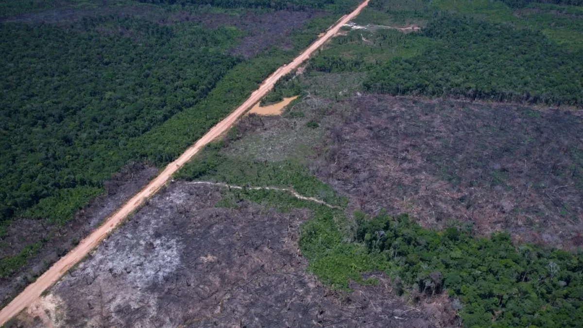 Desmatamento na Amazônia cai 10% em 2026, mas EUA criticam Brasil por tarifas