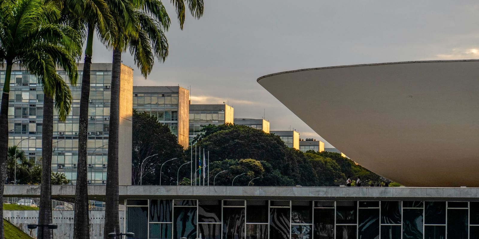 Dino exige matriz de responsabilidades para emendas parlamentares no STF