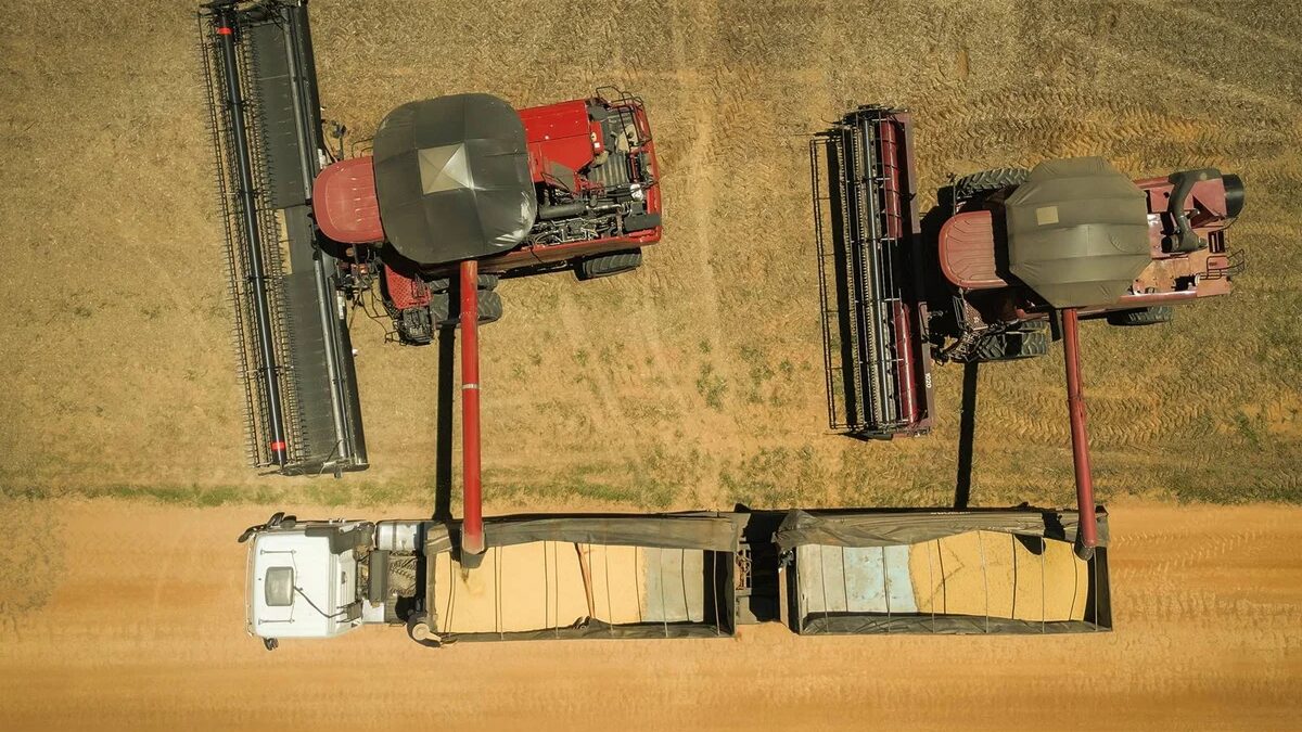 Dívida rural divide governo e bancada do agro em busca de renegociação