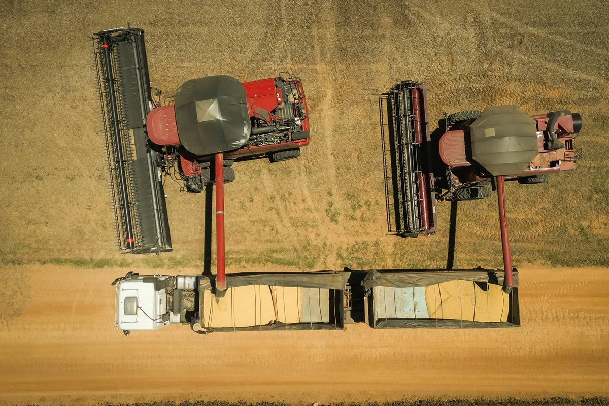 Dívida rural divide governo e bancada do agro em busca de renegociação