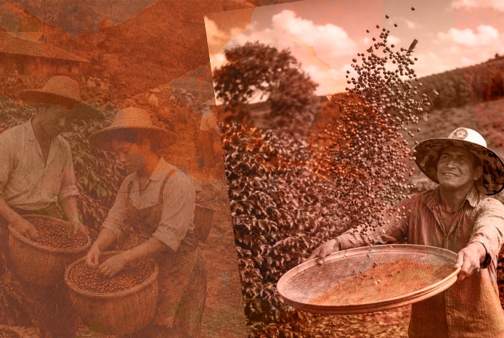 Documentário da Itatiaia revela como pequenos produtores transformam o Vale do Jequitinhonha em polo de cafés especiais