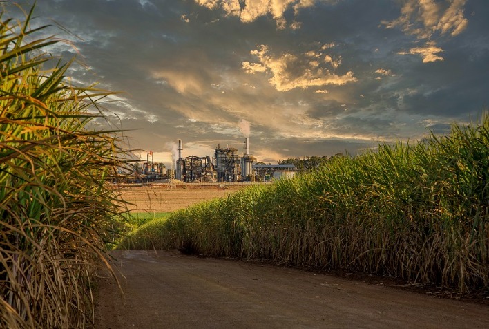 El Niño pode afetar oferta global de açúcar e Brasil se destaca no mercado internacional