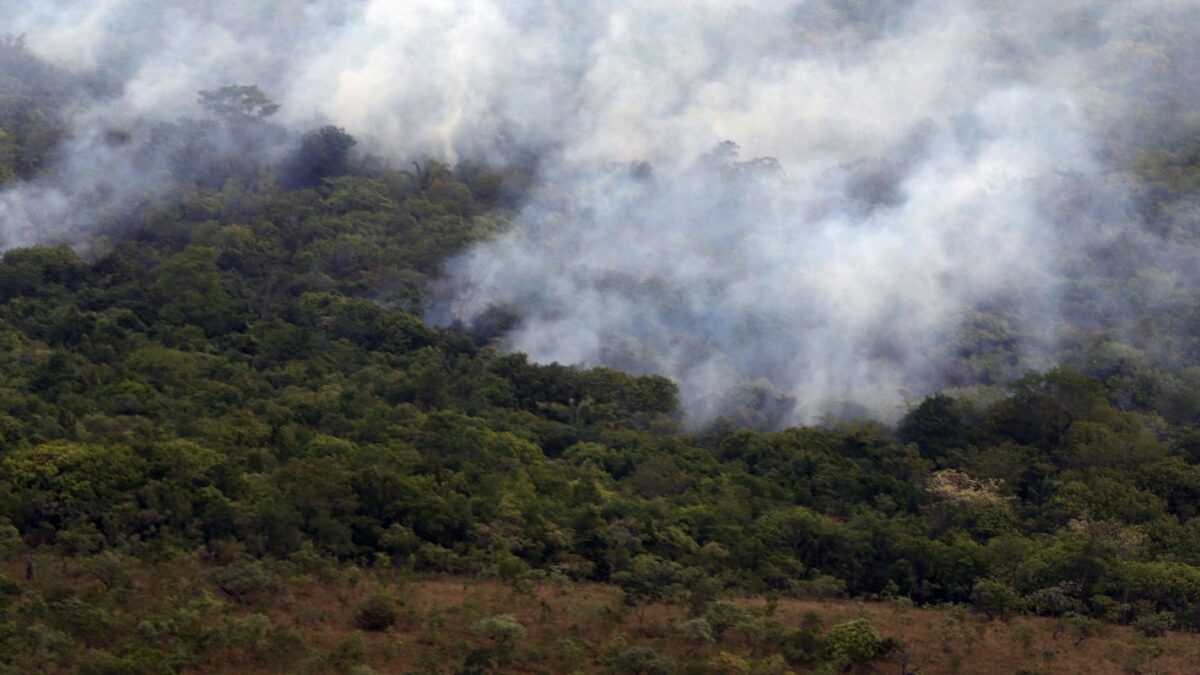 Emissões globais de gases por incêndios atingem menor nível em 24 anos, diz Copernicus