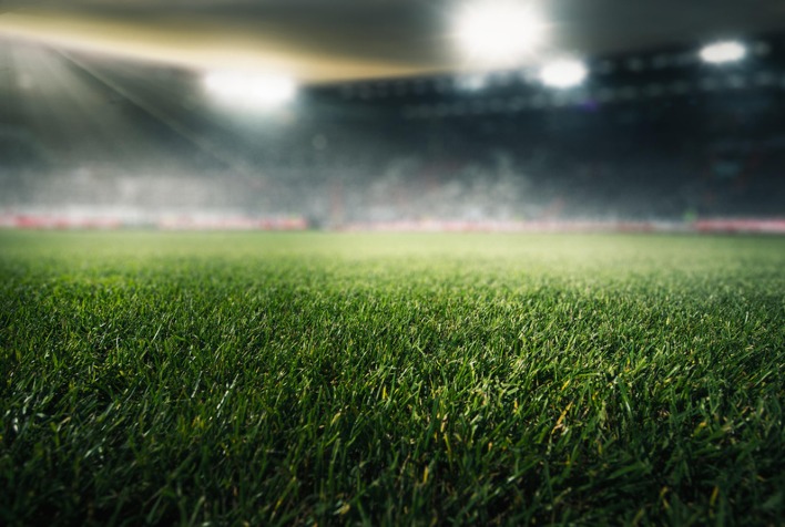 Engenharia agronômica transforma gramados da Copa do Mundo e o agronegócio brasileiro