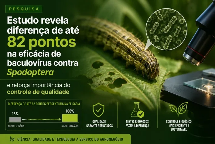 Estudo da UFG revela variação de até 82 pontos na eficácia de baculovírus contra Spodoptera