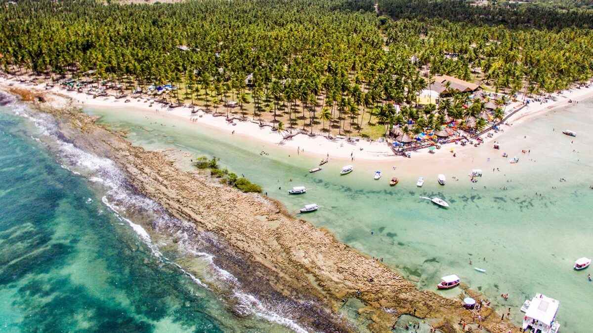 Estudo revela que ruídos de barcos e turistas prejudicam comunicação dos peixes