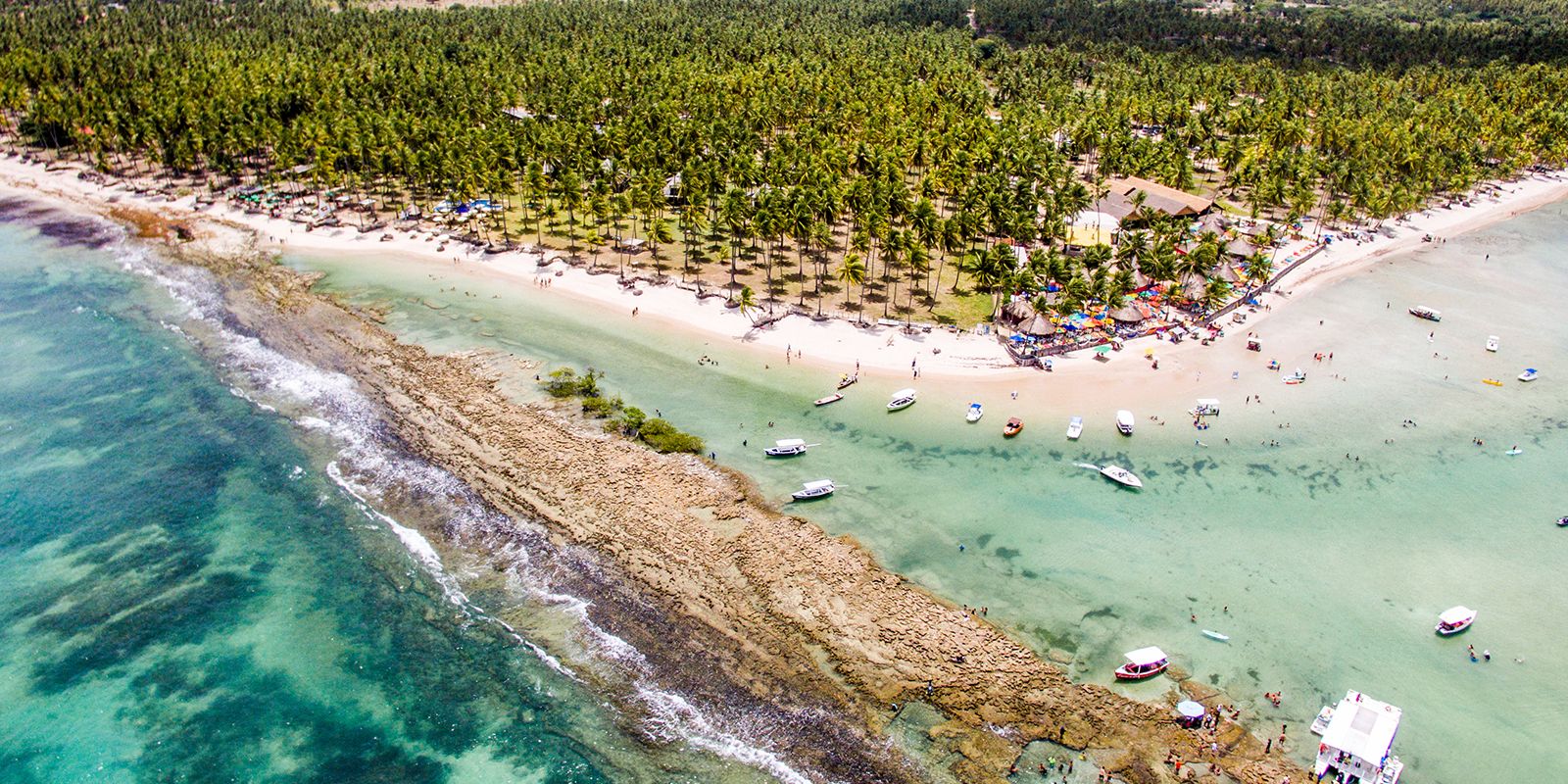 Estudo revela que ruídos de barcos e turistas prejudicam comunicação dos peixes