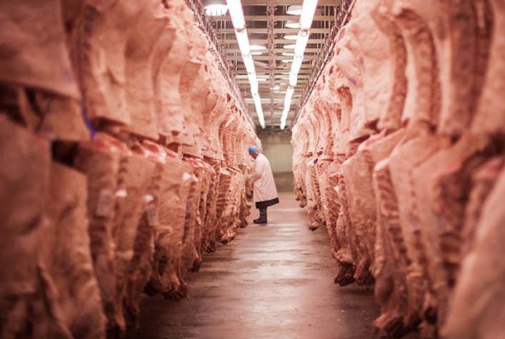 Exportação de carne bovina do Brasil atinge recorde histórico no primeiro semestre de 2026