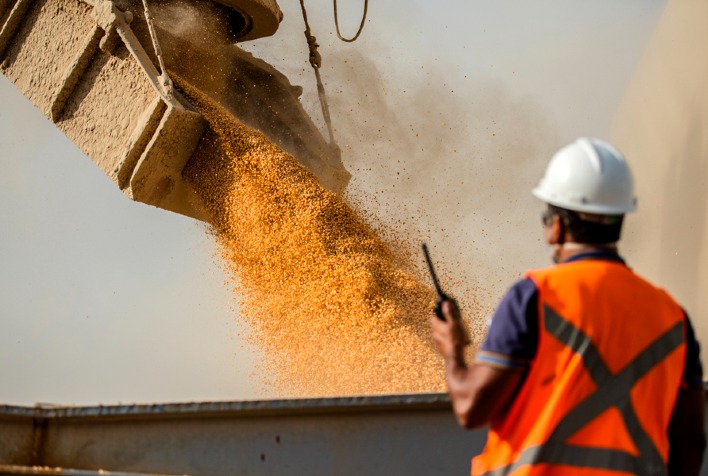Exportação de soja do Brasil deve chegar a 13,5 milhões de toneladas em julho