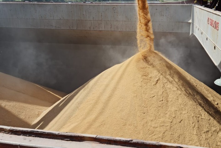 Exportações de arroz crescem 80% em 2026 e impulsionam recuperação de preços no Brasil