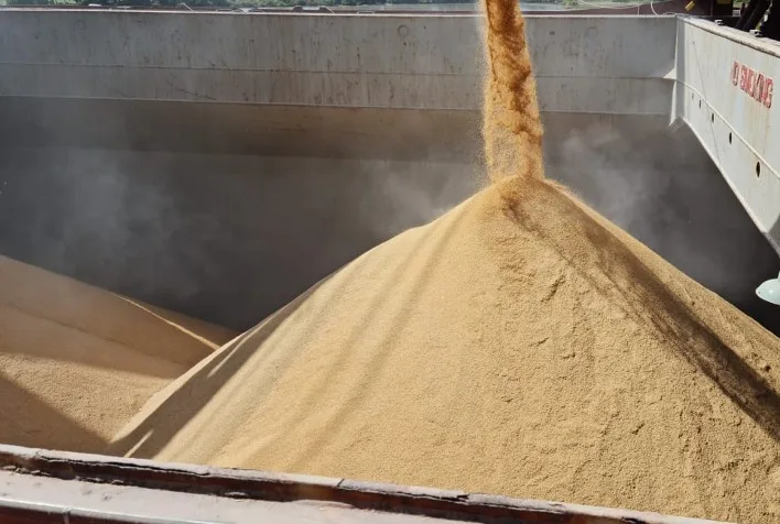 Exportações de arroz crescem 80% em 2026 e impulsionam recuperação de preços no Brasil