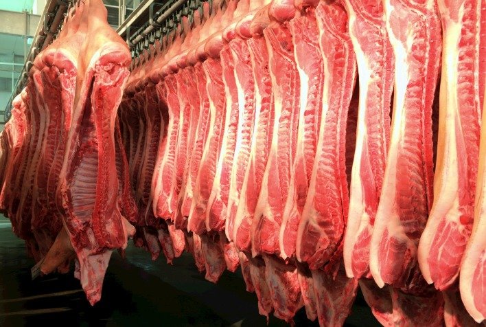 Exportações de carne suína do Brasil atingem recorde histórico em 2026