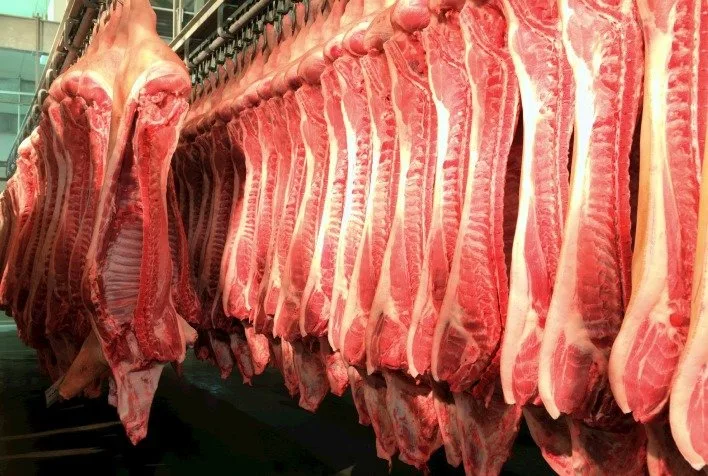 Exportações de carne suína do Brasil atingem recorde histórico em 2026