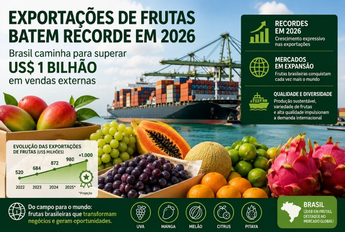 Exportações de frutas do Brasil alcançam US$ 709 milhões no primeiro semestre de 2026